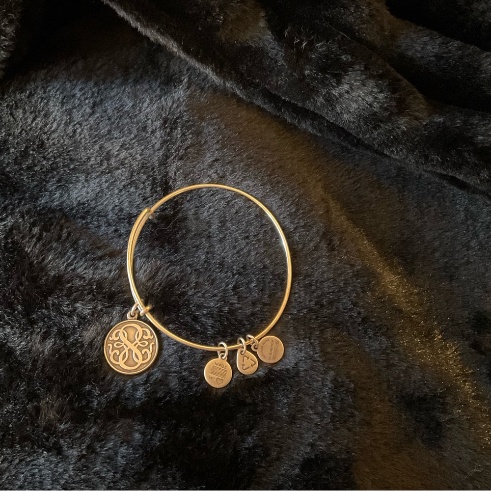 Alex and Ani charm bracelet